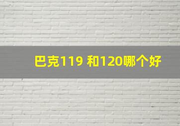 巴克119 和120哪个好